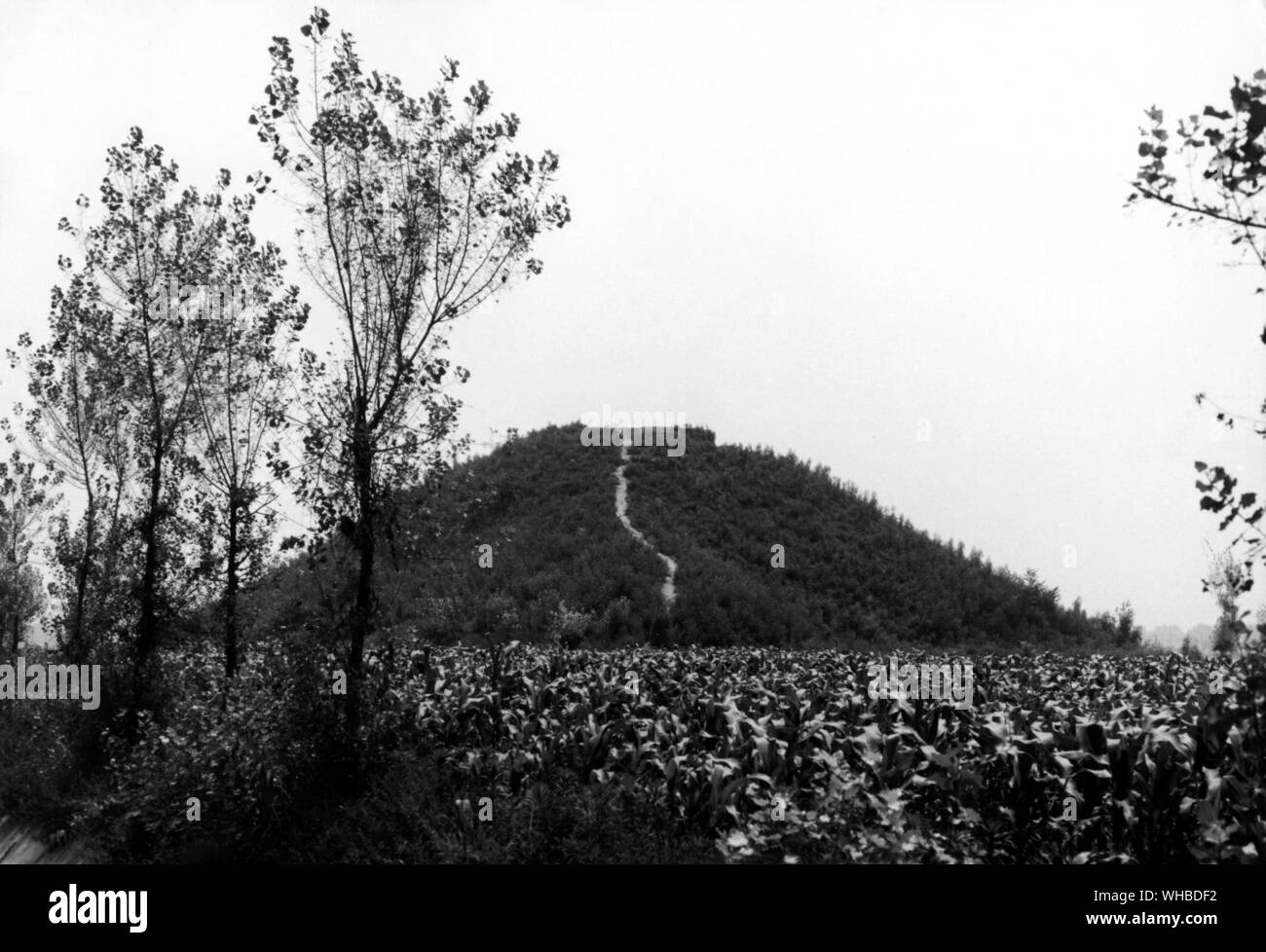 Mound under which tomb lies of Chin Shih Huang 259 - 210 BC , China Stock Photo