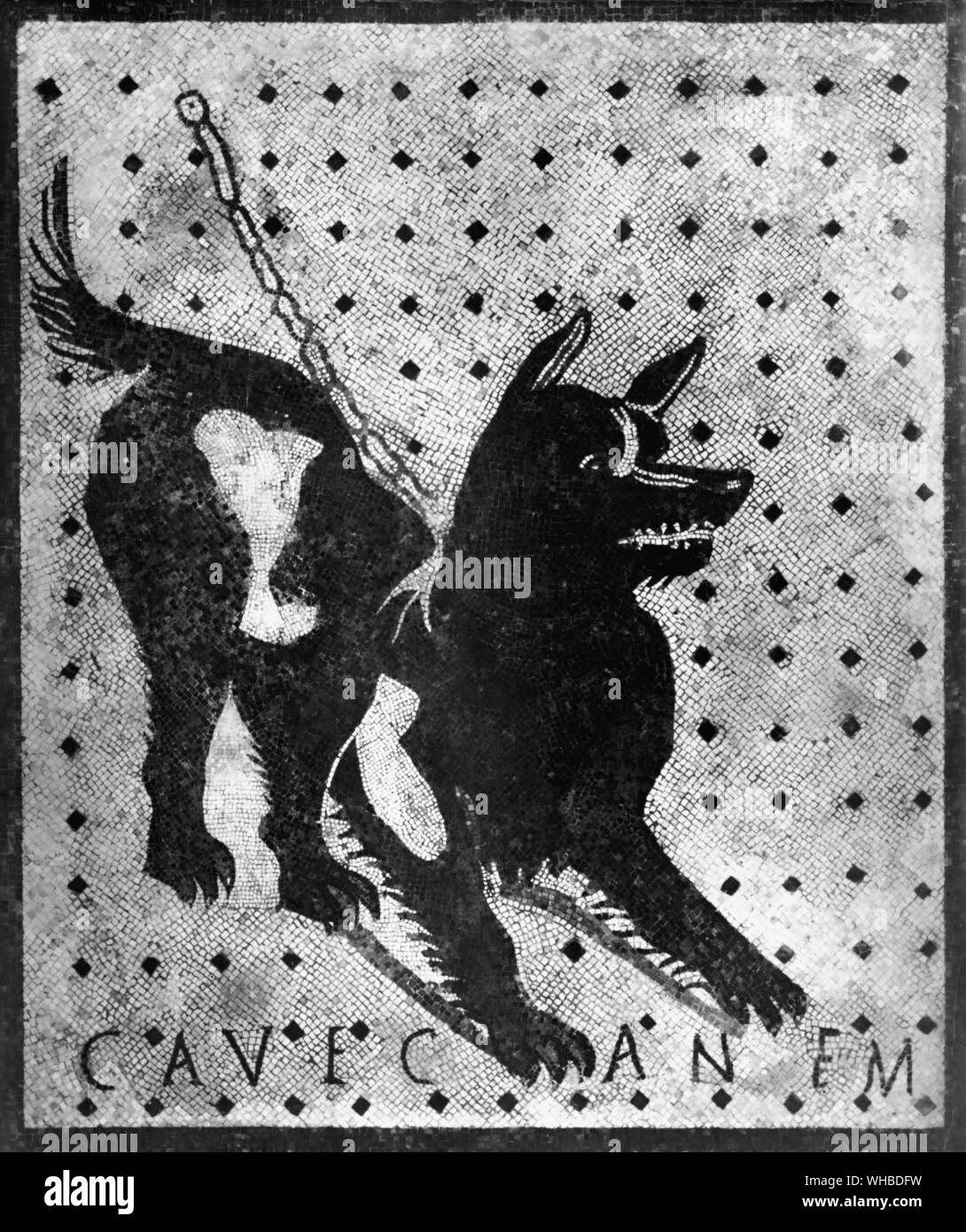This mosaic is at the entrance to The House of the Tragic Poet , it has the inscription Cave canem meaning Beware of the dog , Pompeii , Italy Stock Photo