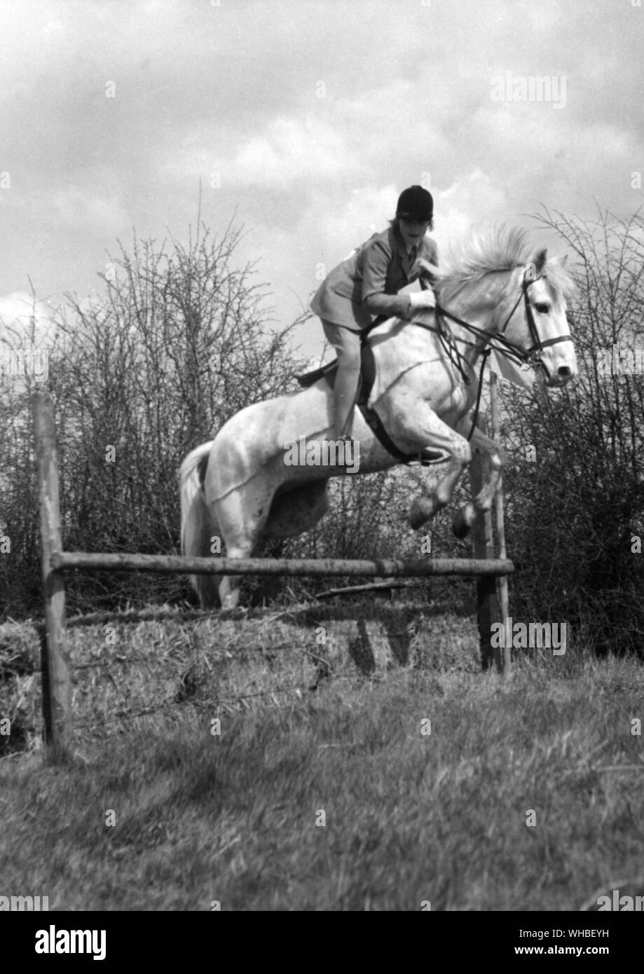 Princess Anne riding her pony Bandit at the Garth Hunt Binfield Berks Stock Photo Alamy