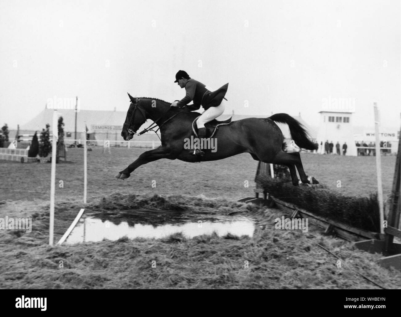 Harvey Smith riding the horse Madison Time Stock Photo - Alamy