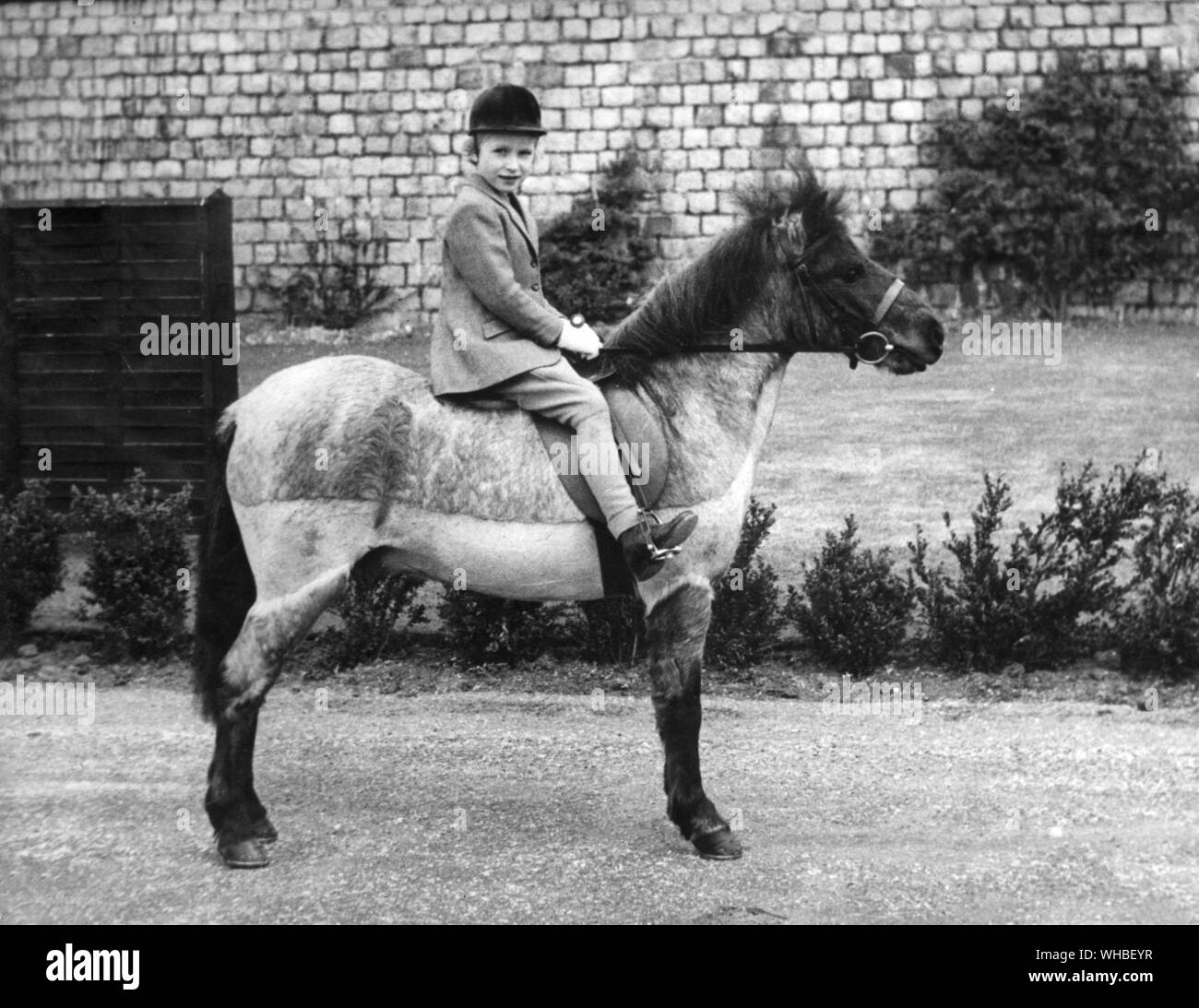 Princess Anne is riding the 13 year old blue roan pony William he is her favourite pony 1957 Stock Photo