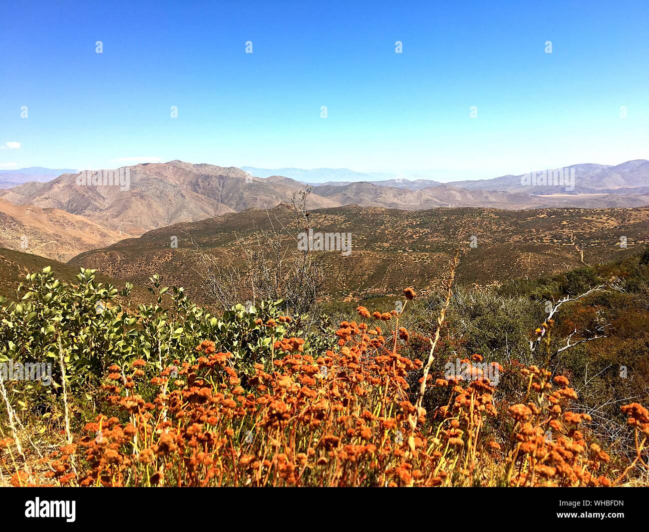 Cleveland national forest hires stock photography and images Alamy