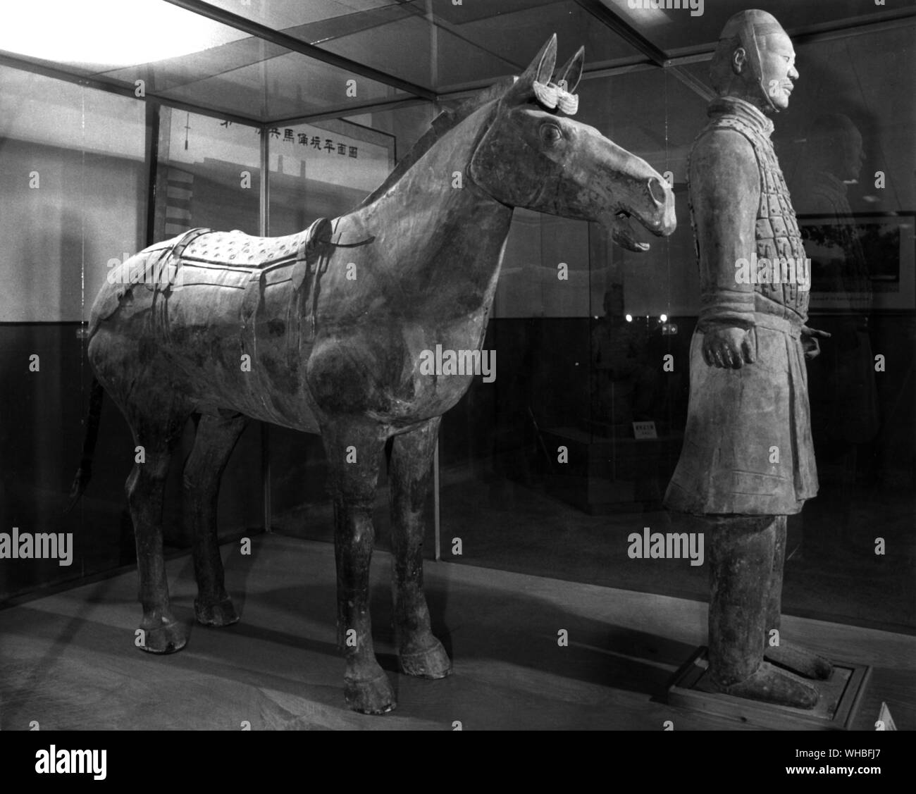 First Emperor of China : Cavalry horse and statue Stock Photo