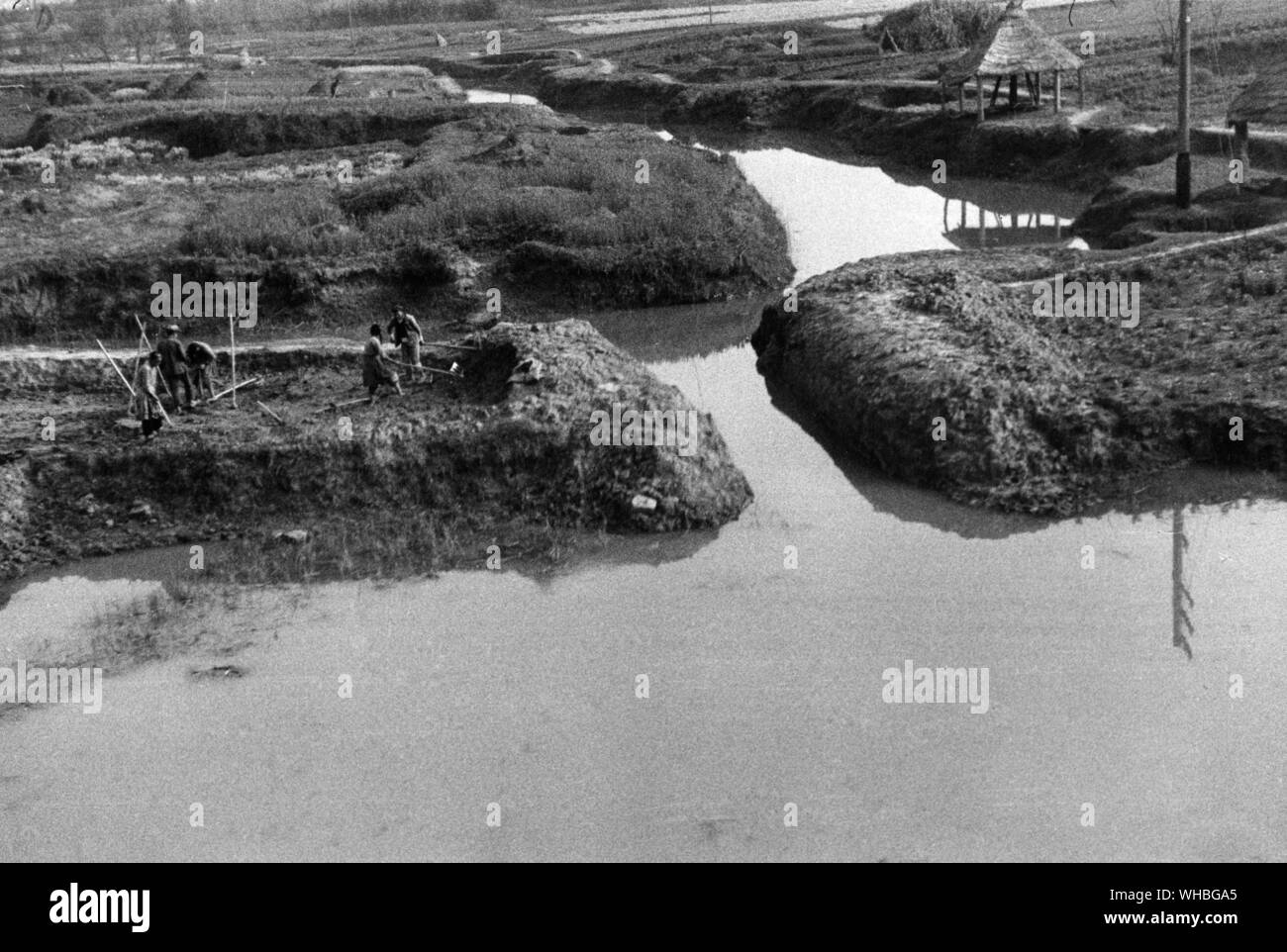 Irrigation Channels near Shanghai , China 1956 Stock Photo