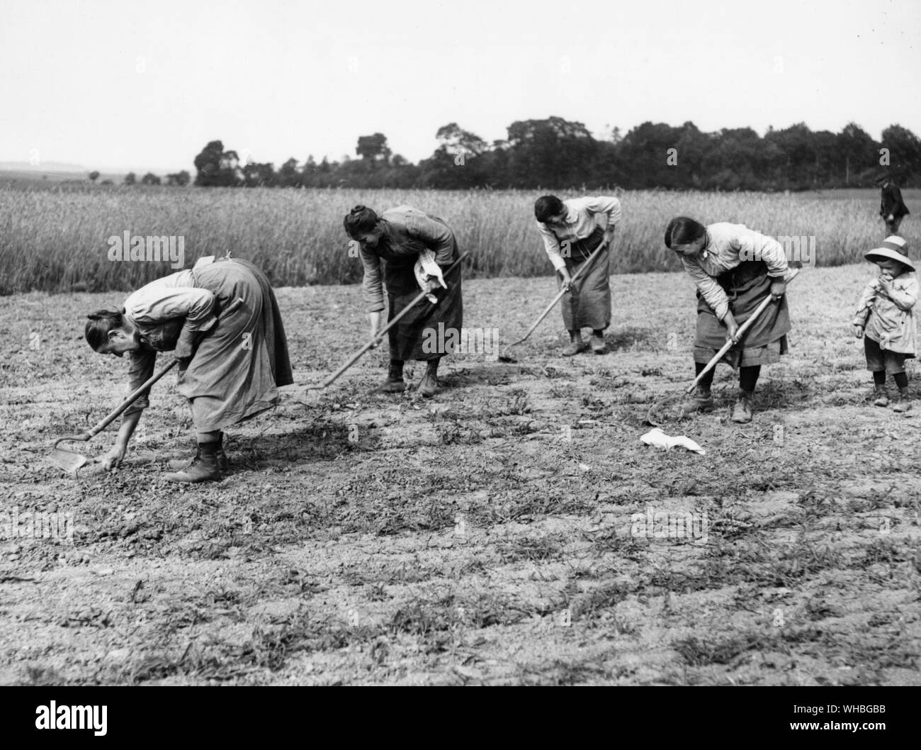 French women hoeing and preparing field for planting , France Stock Photo