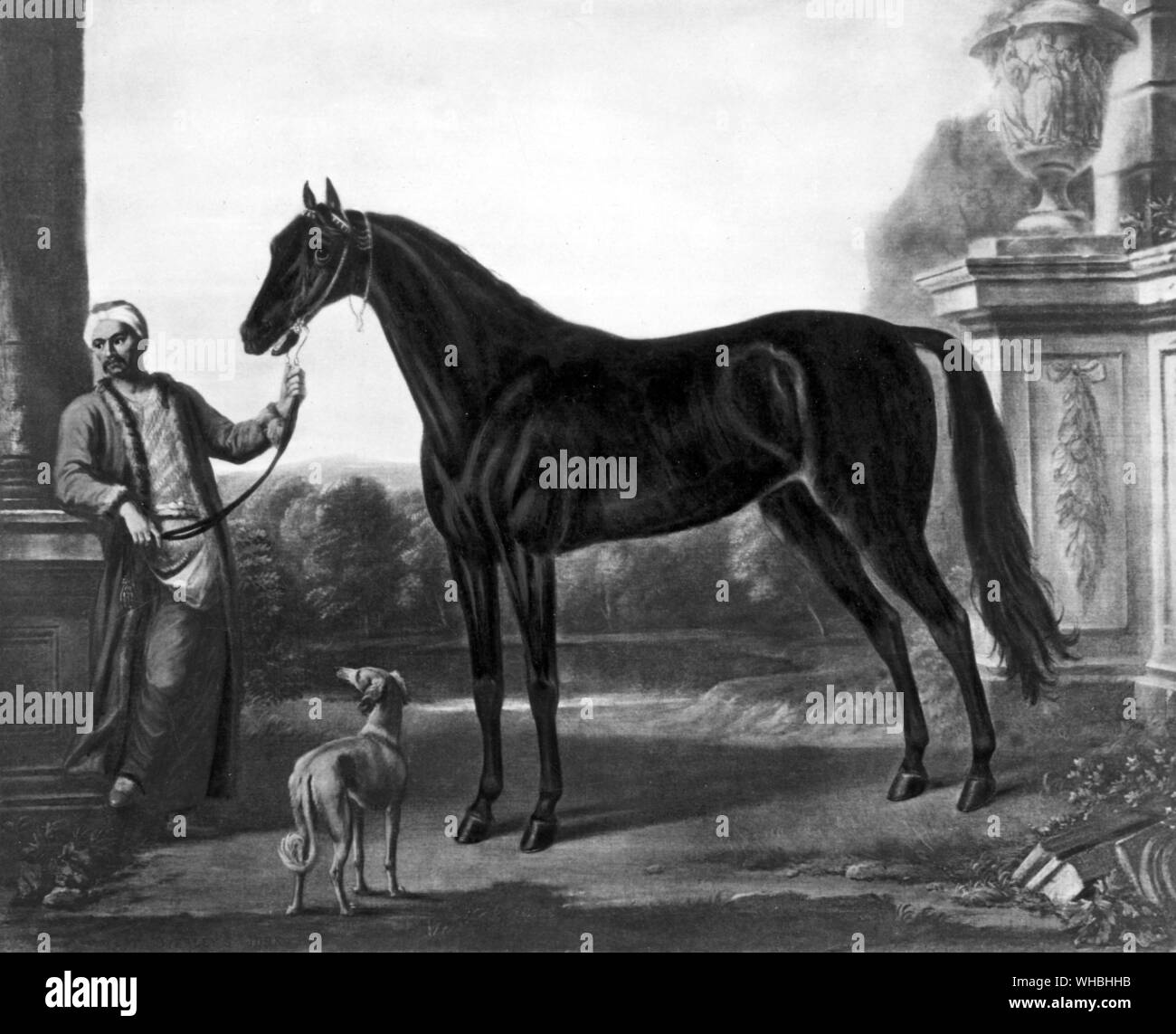 Byerley Turk, the eldest of the three famous founders of the Thoroughbred, the Byerley Turk's male line descends to the present through Herod. Dark brown colt, c. 1679 by Wootten. Imported into England in 1680s. As his portrait by Wootton shows, the Byerley Turk was an unmarked, dark brown horse with an Arabian appearance, despite his title as a Turk. He was very prepotent, and many of his offspring are noted to have been brown or black like himself. The History of Horse Racing by Roger Longrigg, page 59. . . . Stock Photo