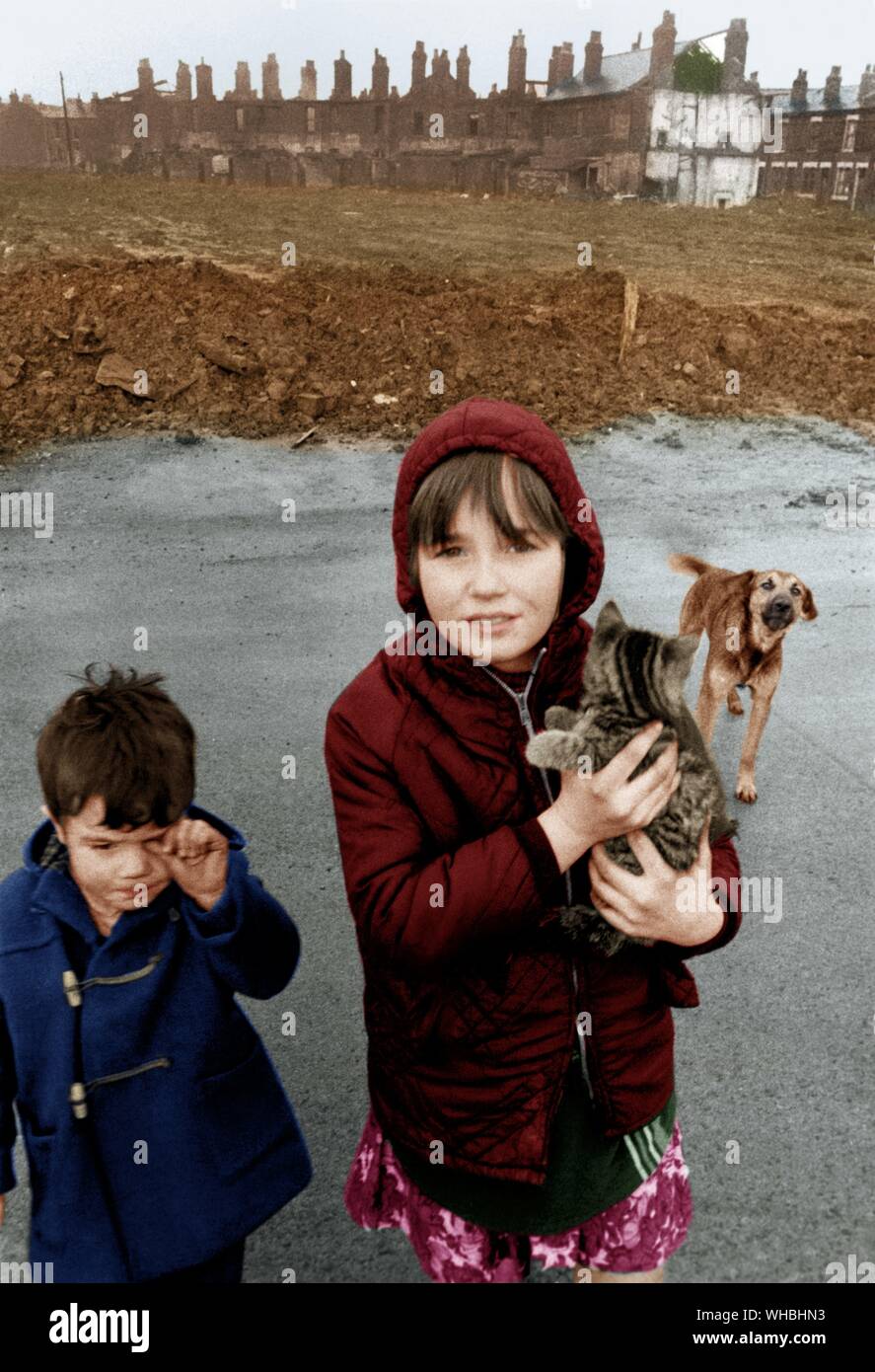 Children in Manchester in 1970. Brother and sister with their pets, a kitten and a dog Stock Photo