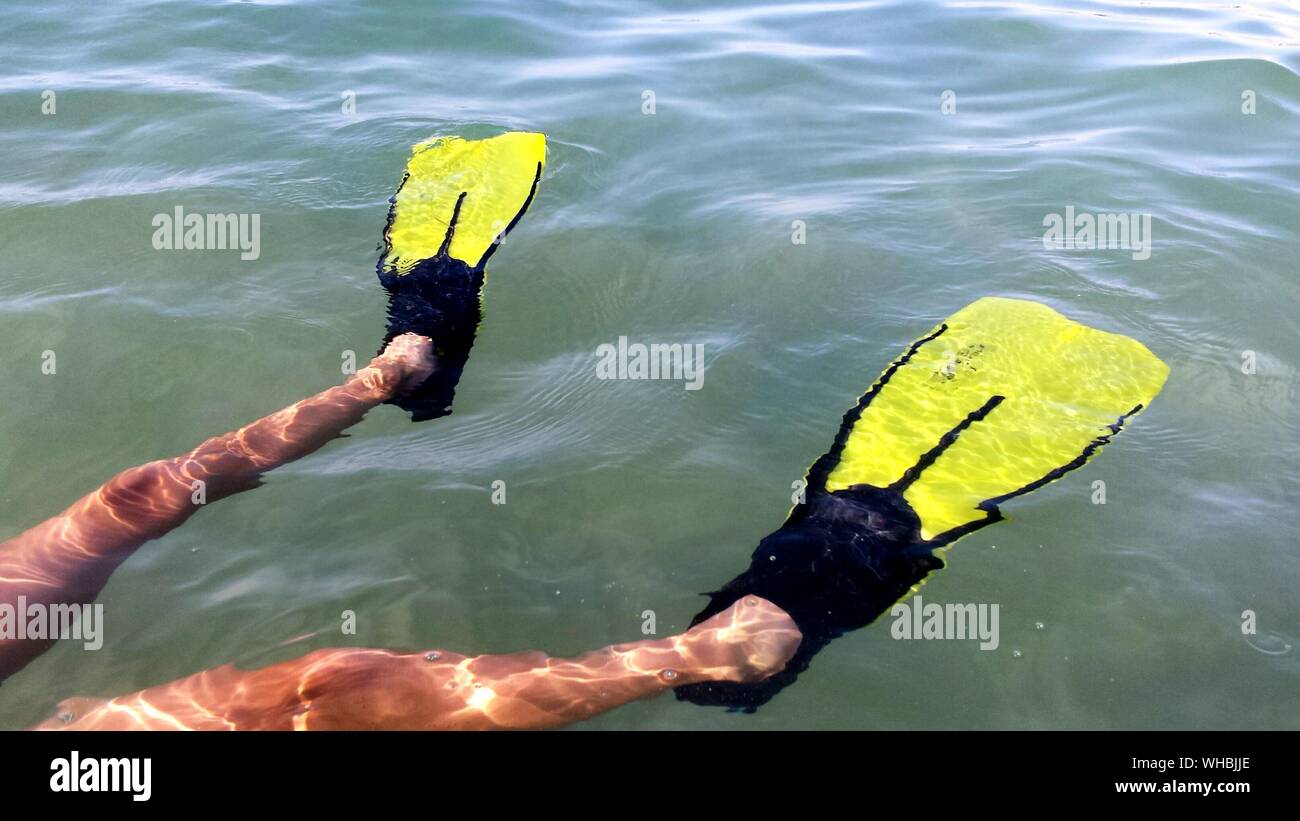 Wearing flipper hires stock photography and images Alamy