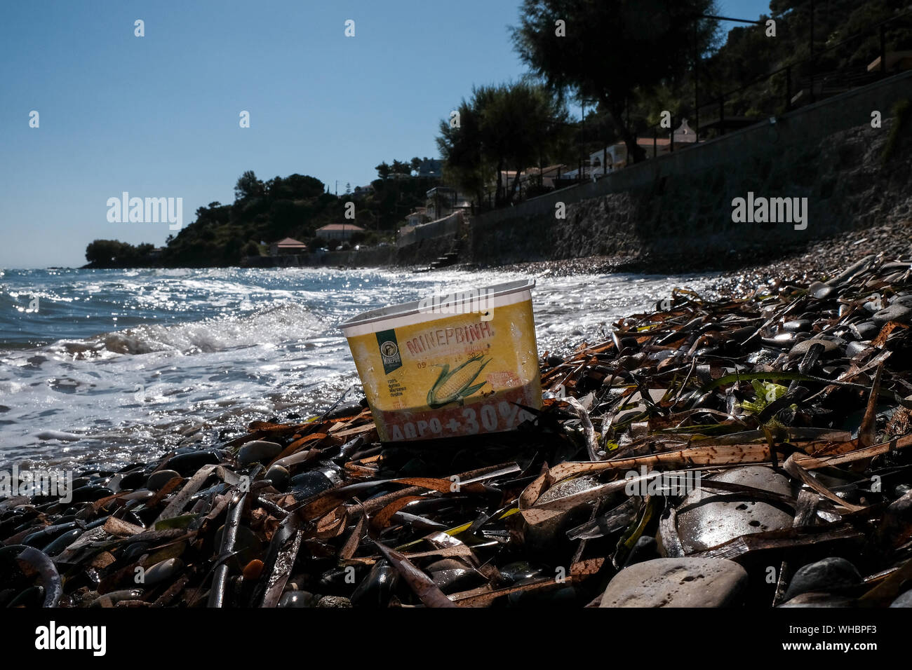 A plastic Sweetcorn container discarded on the beach with water fading and damage adding to the now pollution of the ocean and environment damage. Stock Photo