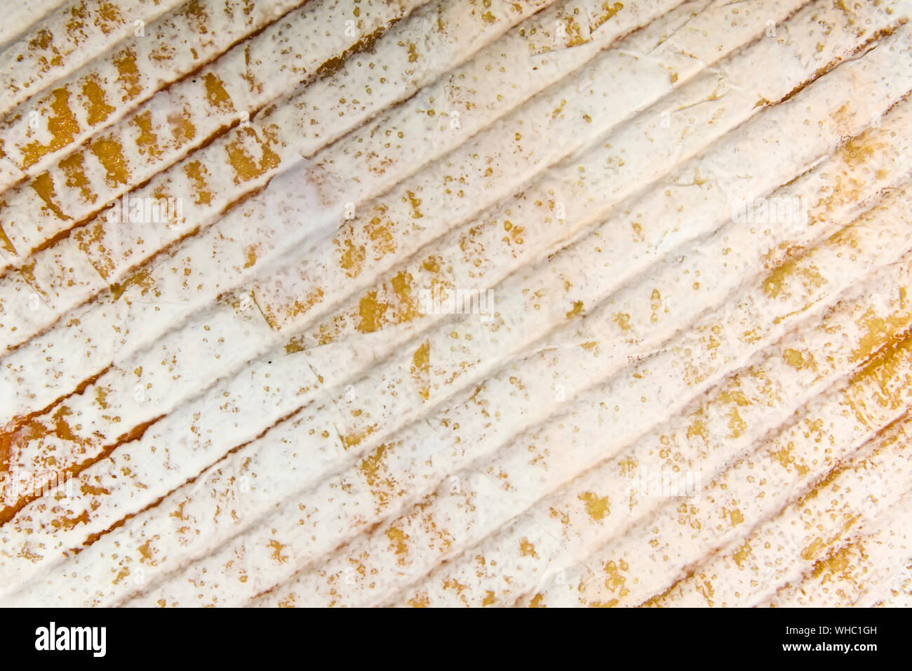 Detail of texture from French Le Marcaire cheese Stock Photo