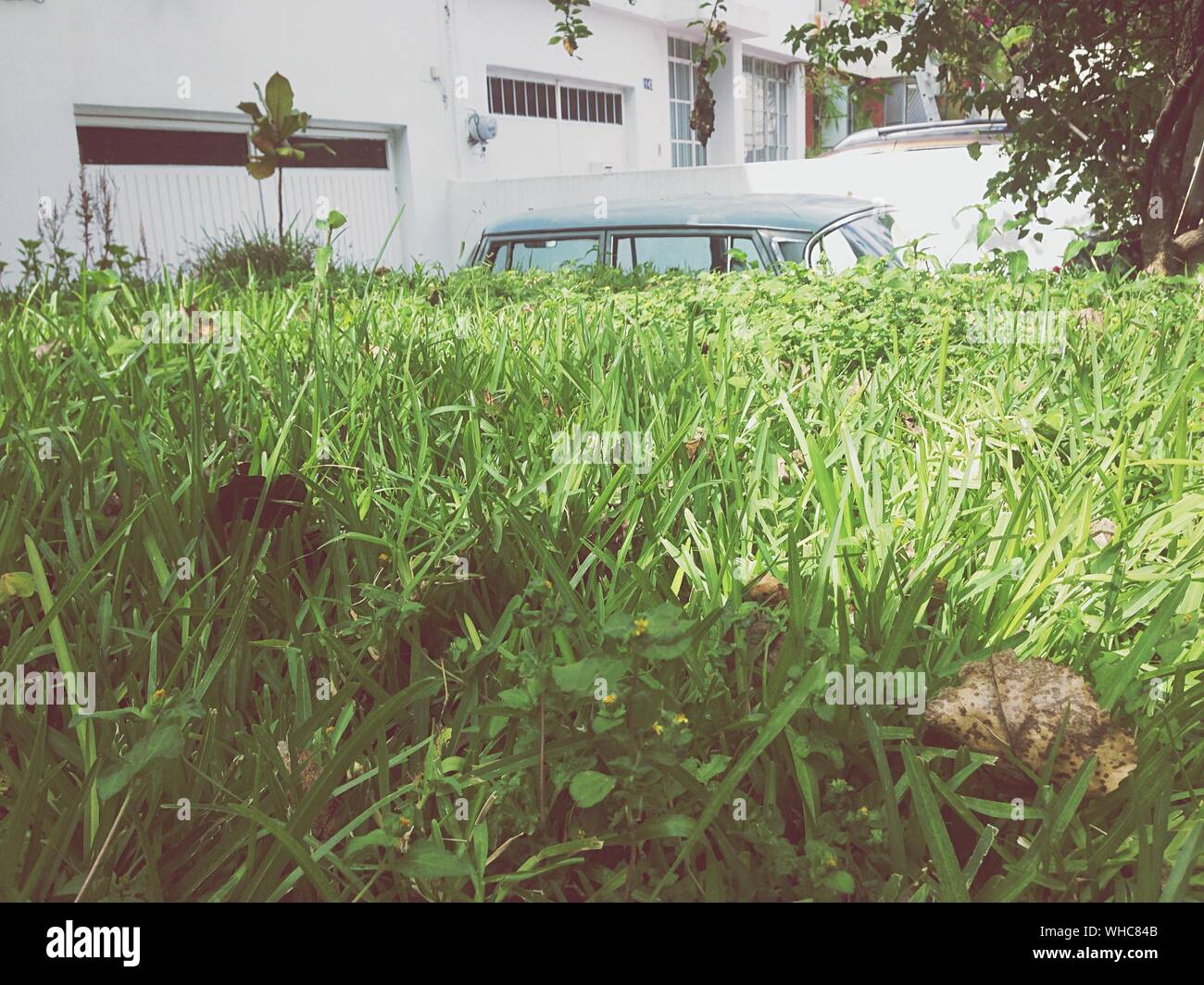 Car outside house hires stock photography and images Alamy