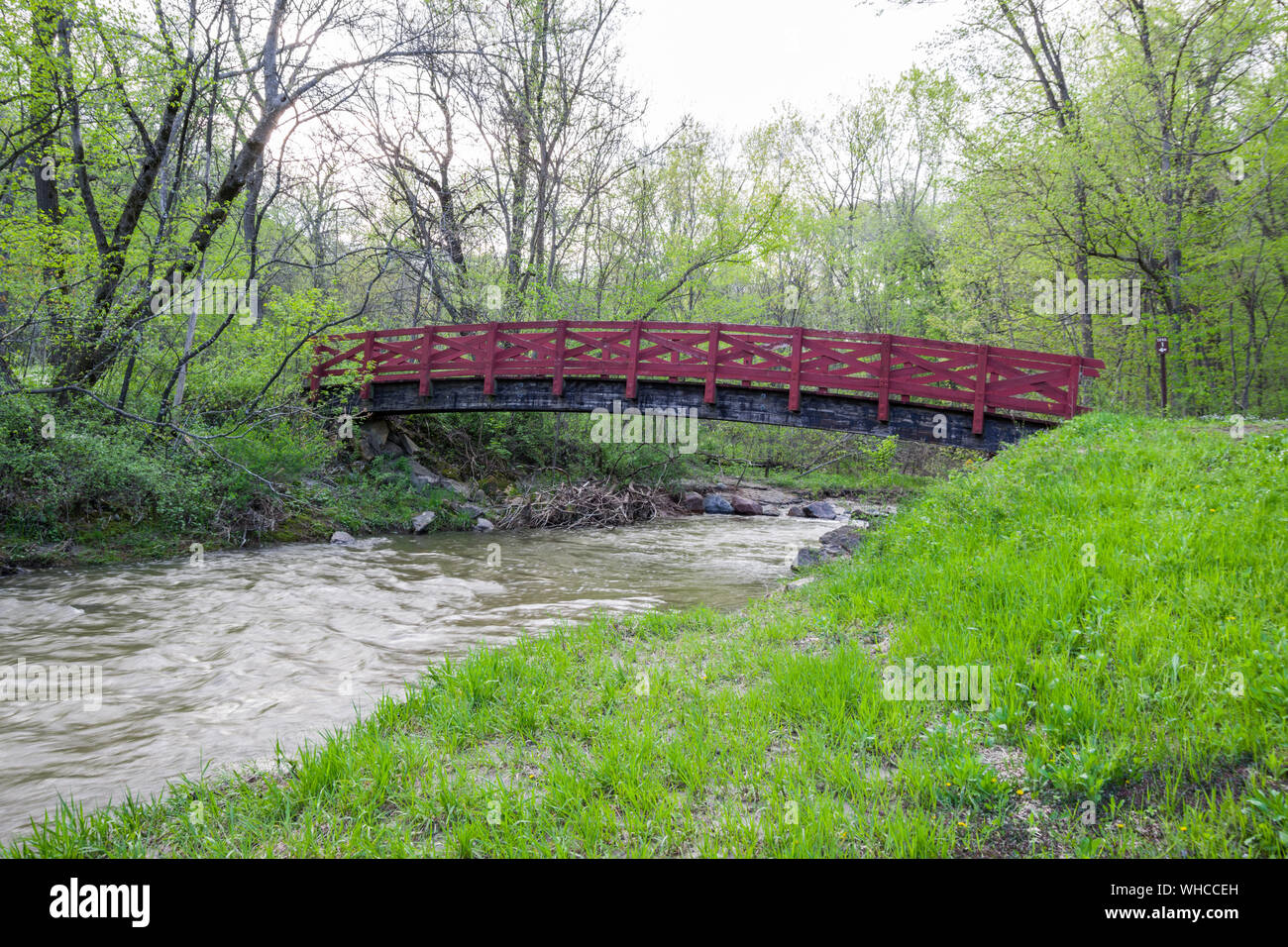 Seven mile bridge tree hires stock photography and images Alamy