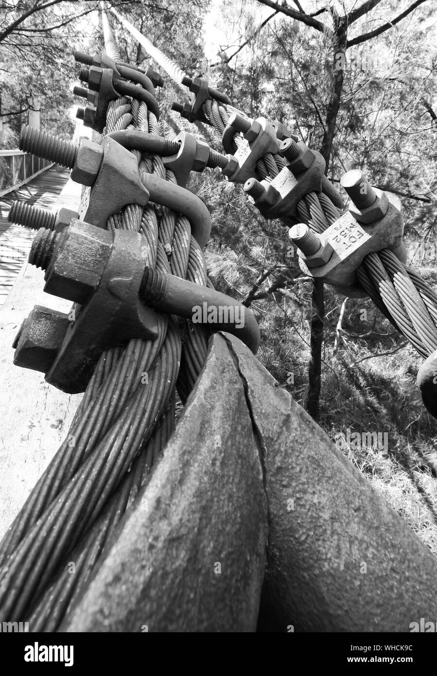 Bridge cable hires stock photography and images Alamy