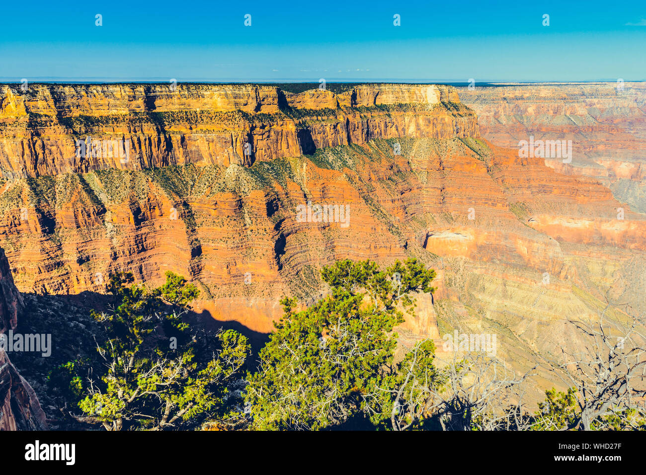 Best Vacation Spots in the US