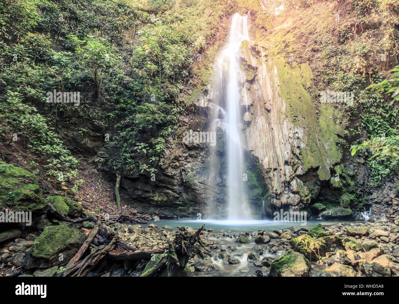 La catarata de la llorona waterfall in Corcovado National Park in Costa Rica Stock Photo