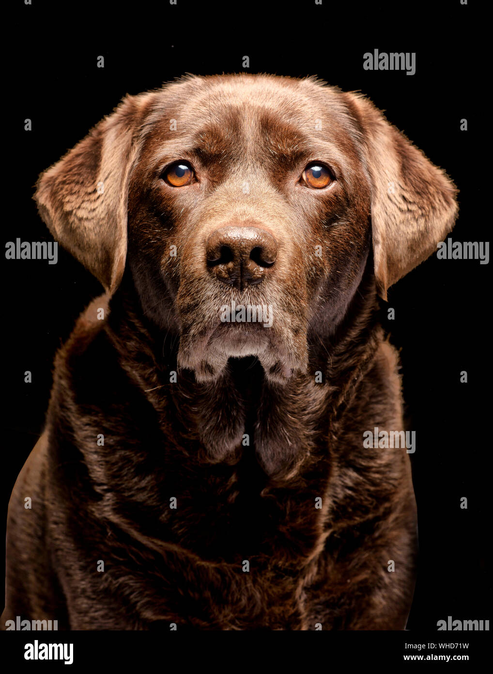 Ten year old hires stock photography and images Alamy