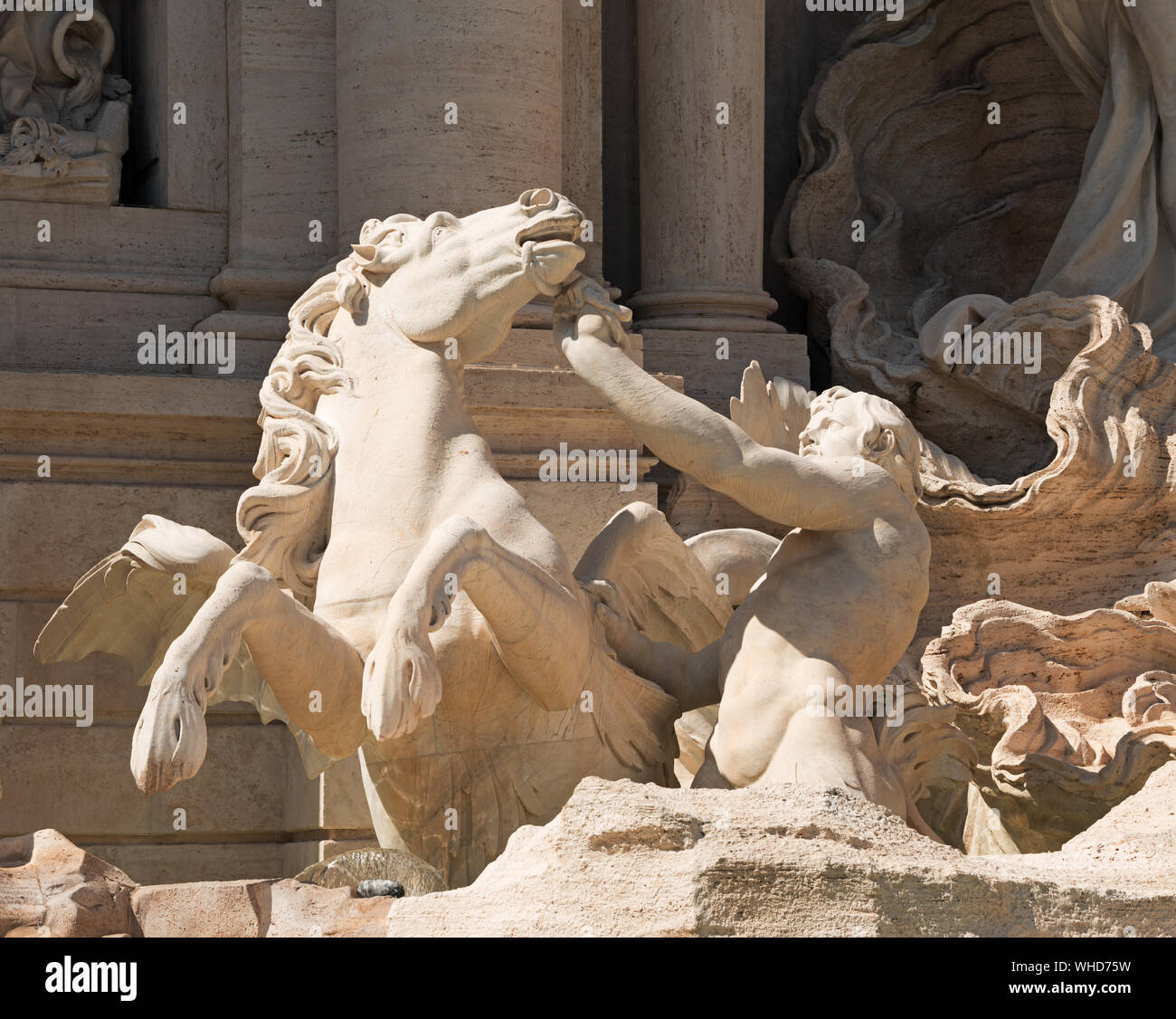 Triton and Hippocamp. Detail of the Trevi fountain, Rome, Italy Stock Photo