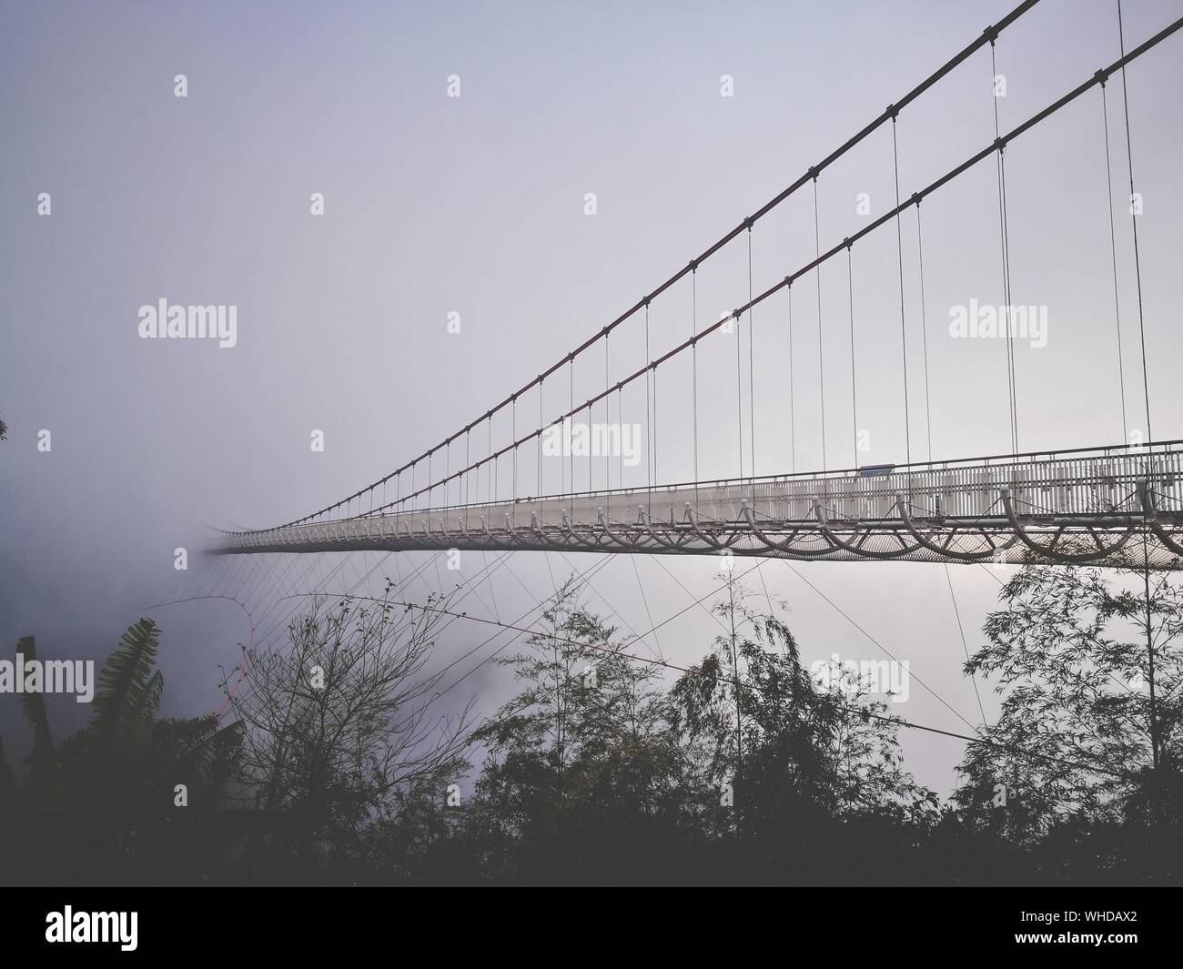 View Of Suspension Bridge In Foggy Weather Stock Photo Alamy