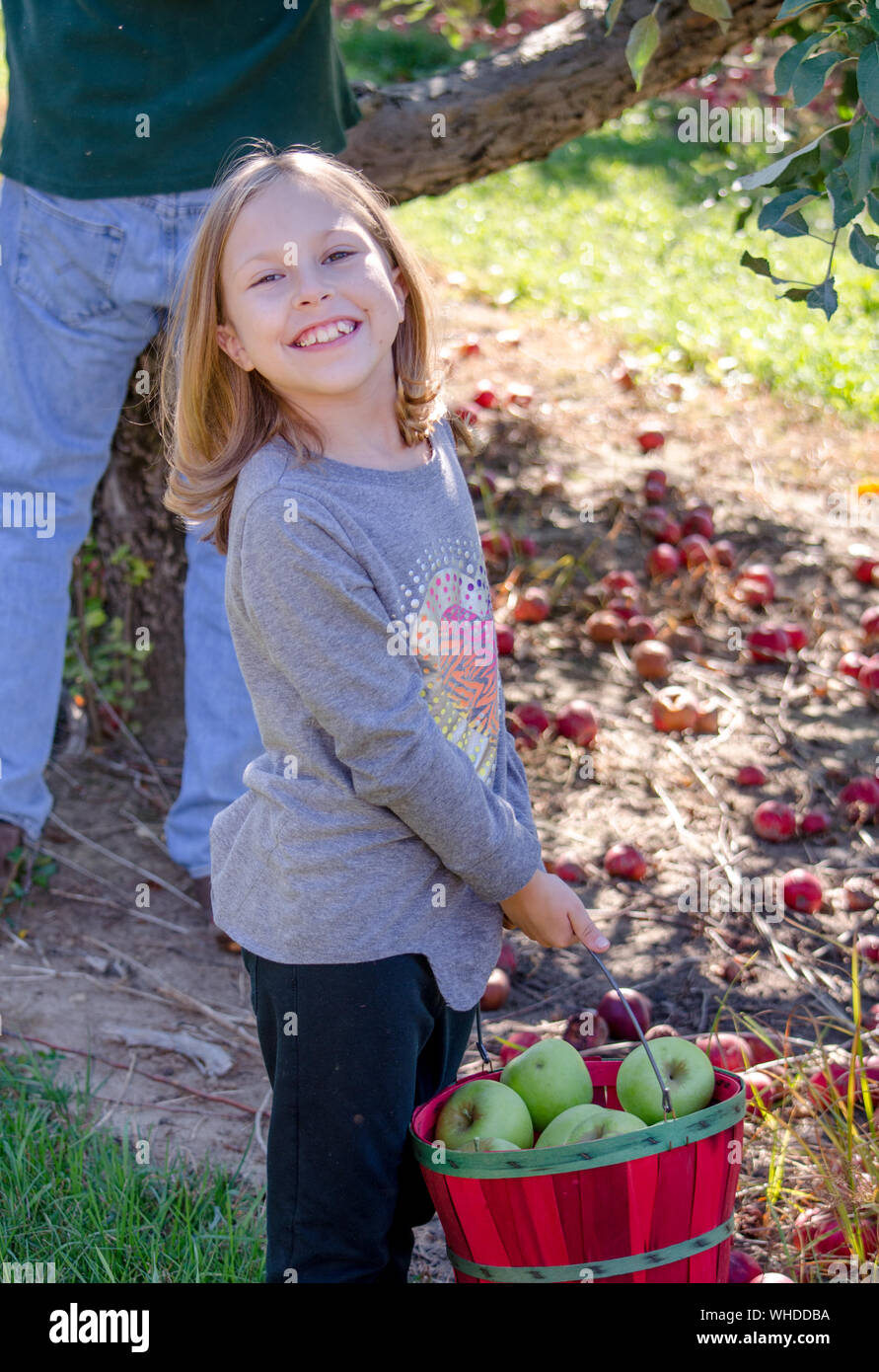 Portrait Of Happy Girl Holding Basket With Fruits On Field Stock Photo -  Alamy