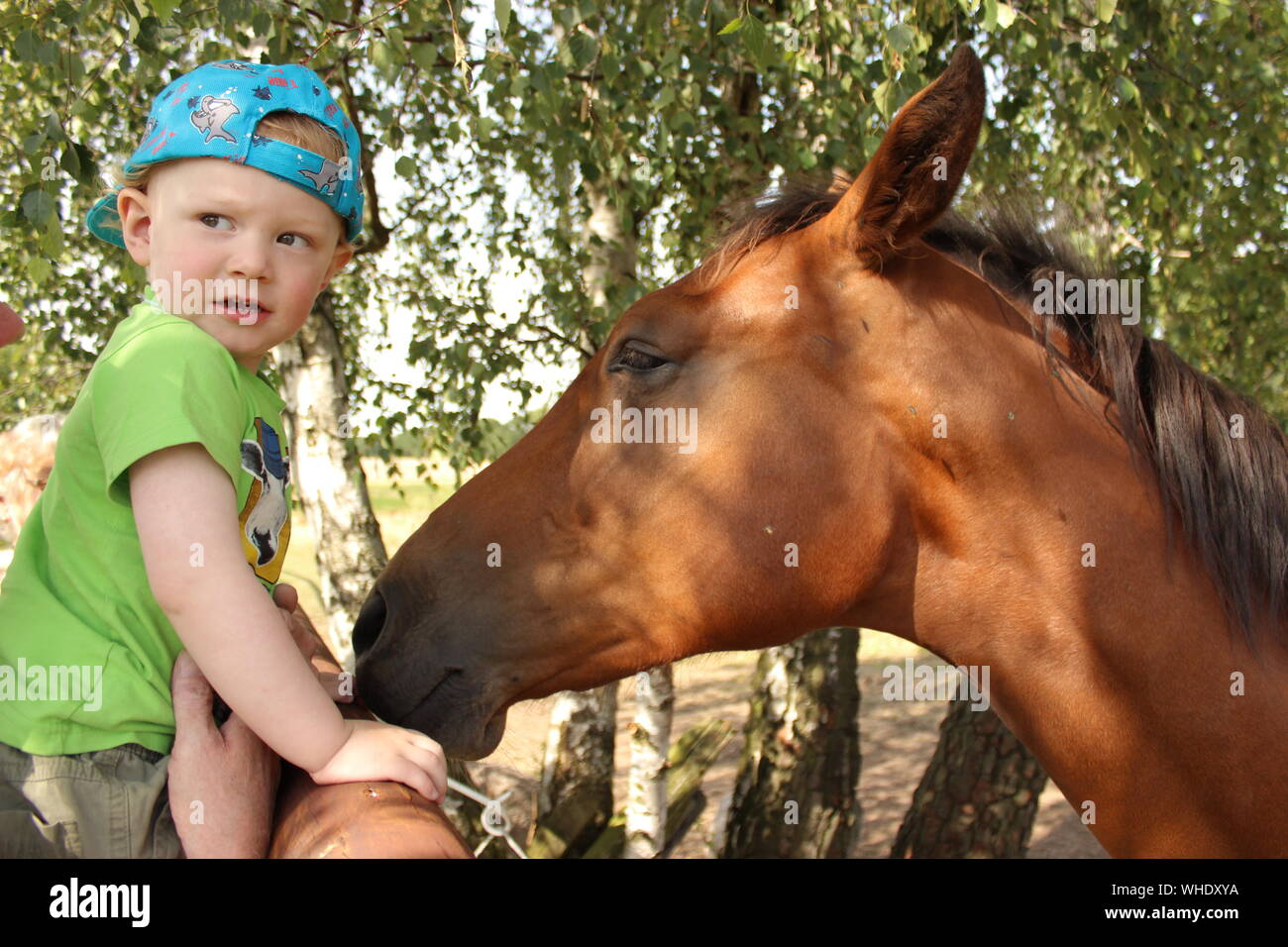 Frightened Boy Standing In Front Of Horse Against Trees Stock Photo
