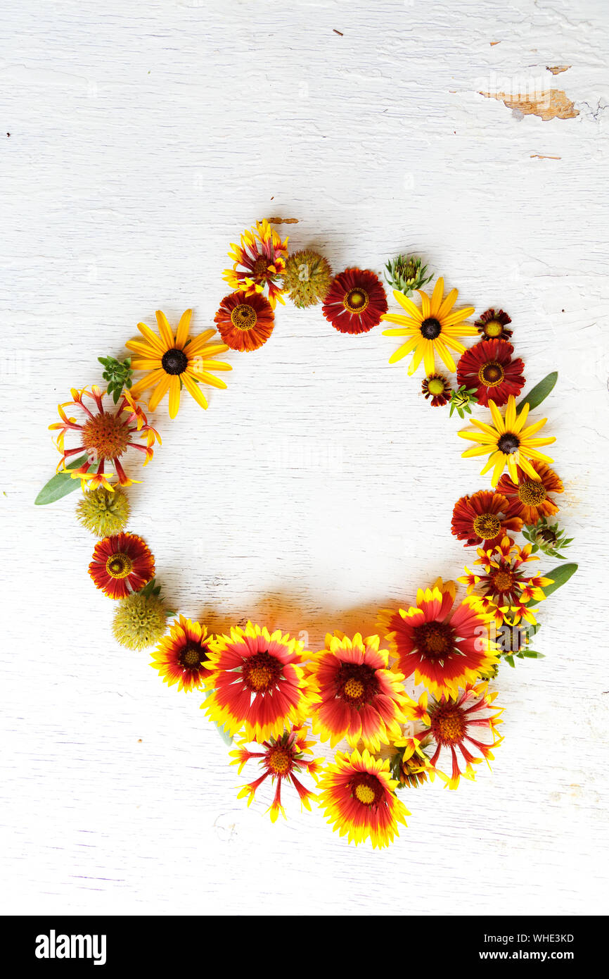 Flower composition on a wooden white background Stock Photo