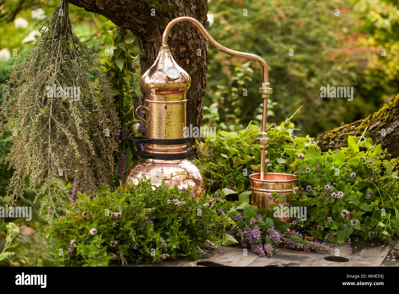 Alembic is a distilling apparatus of Arabic origin which may be used to distill essential oils and a variety of alcoholic beverages. Stock Photo