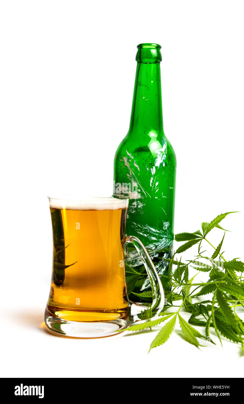 Beer with marijuana cannabis plant in a glass on white Stock Photo