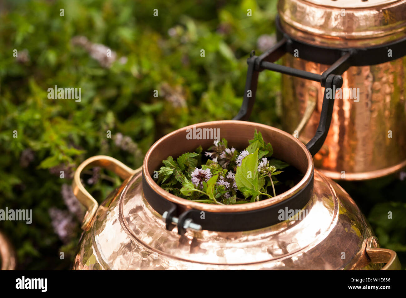 Alembic is a distilling apparatus of Arabic origin which may be used to ...