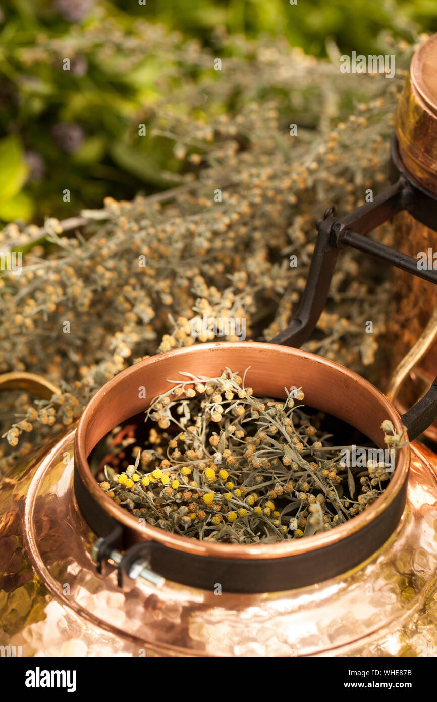 Alembic Is A Distilling Apparatus Of Arabic Origin Which May Be Used To Distill Essential Oils And A Variety Of Alcoholic Beverages Artemisia Abisint Stock Photo Alamy