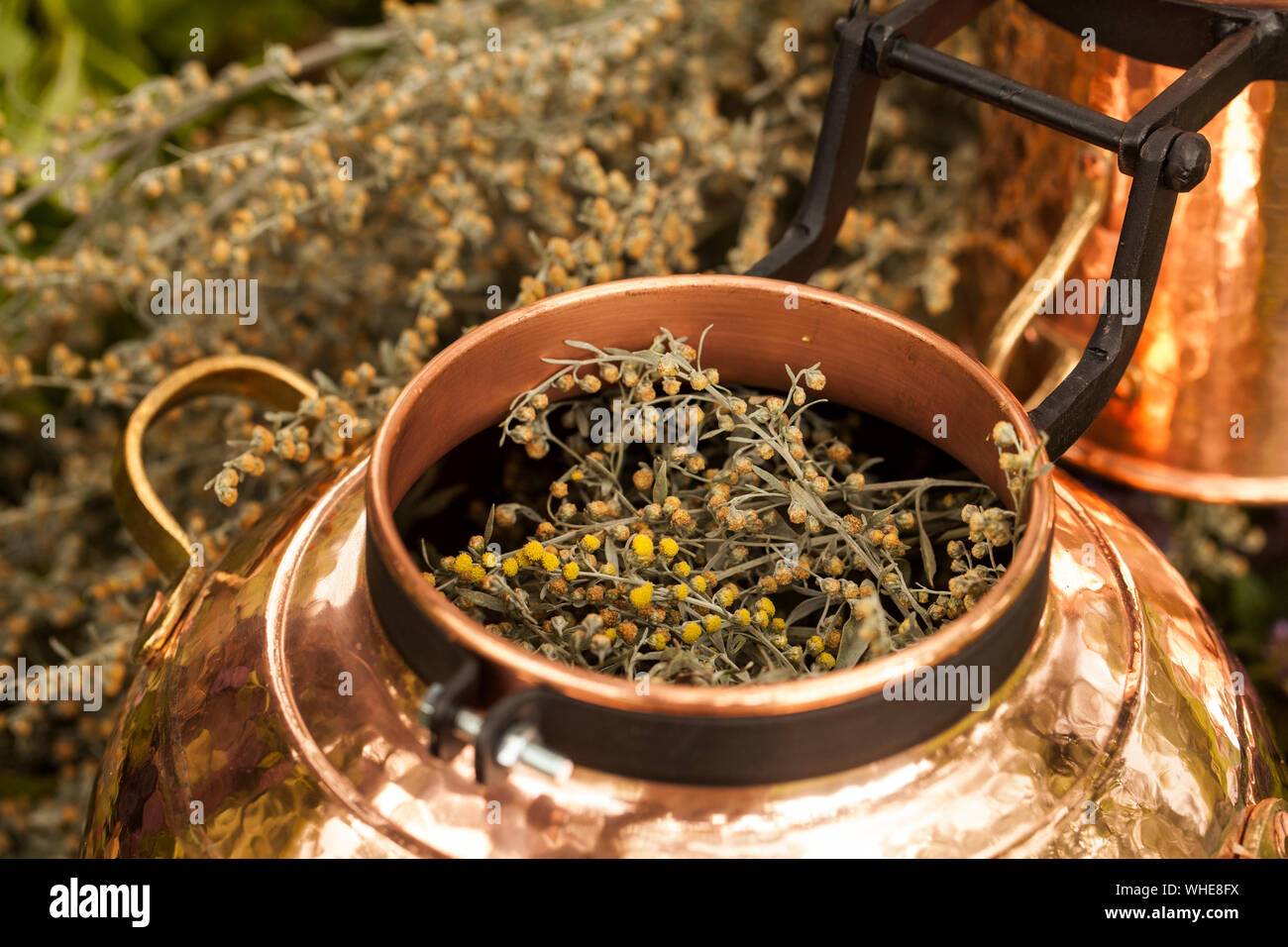 Alembic Is A Distilling Apparatus Of Arabic Origin Which May Be Used To Distill Essential Oils And A Variety Of Alcoholic Beverages Artemisia Abisint Stock Photo Alamy