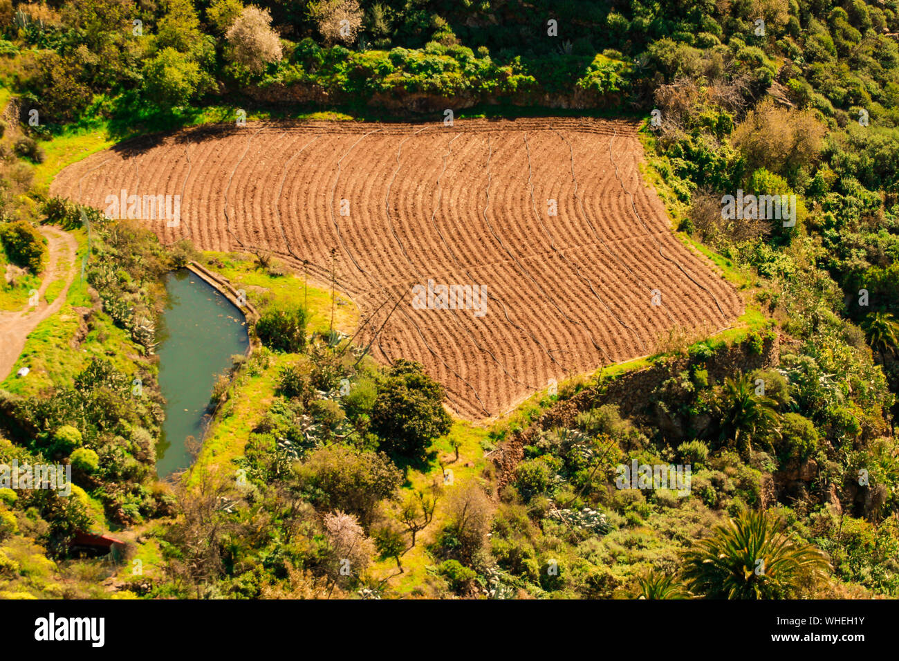 Terreno para plantar papas, Gran Canaria Stock Photo