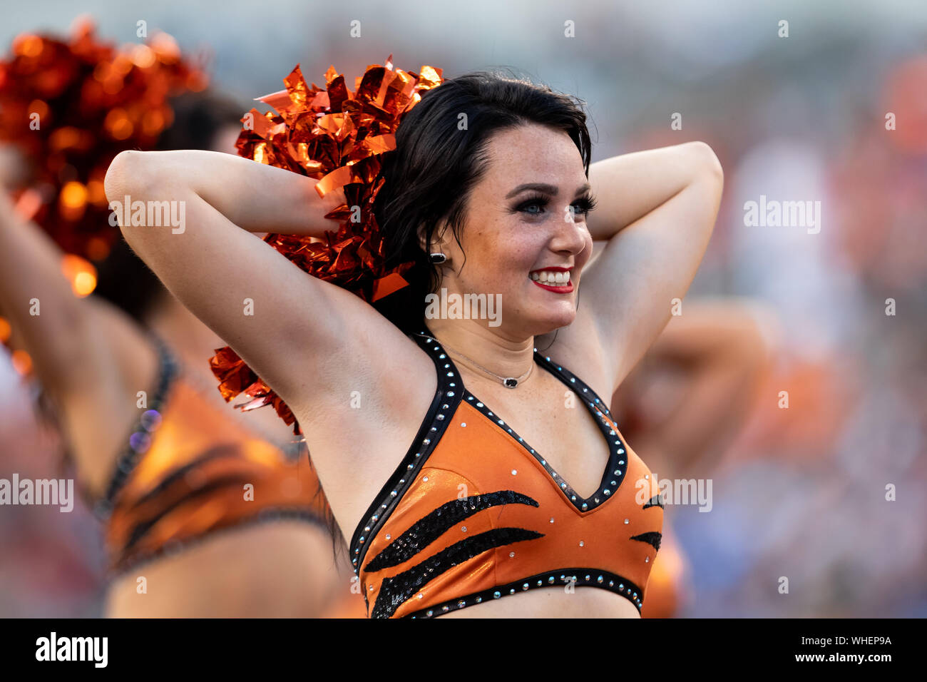 Cincinnati Bengals kicker Tristan Vizcaino (3) after an NFL football  preseason game between the Indianapolis Colts and the Cincinnati Bengals at  Paul Brown Stadium in Cincinnati, OH. Adam Lacy/CSM Stock Photo 