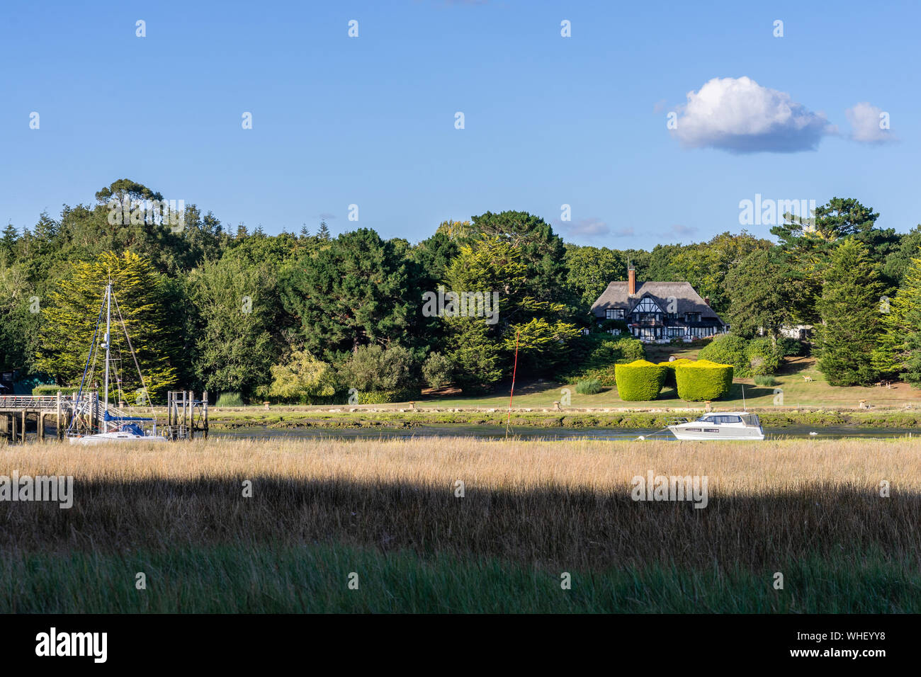 Landscape along Beaulieu River in the New Forest, Hampshire, England, UK Stock Photo