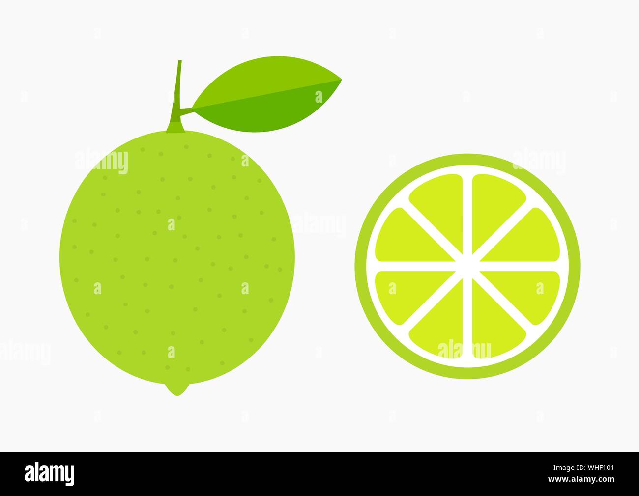 Green lime citrus fruit and slice icons. Vector illustration. Stock Vector