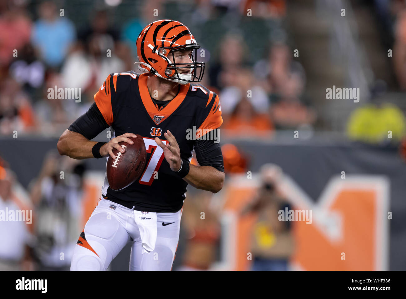 Cincinnati Bengals quarterback Jake Dolegala (7) during NFL football  preseason game action between the Indianapolis Colts and the Cincinnati  Bengals at Paul Brown Stadium in Cincinnati, OH. Adam Lacy/CSM Stock Photo 