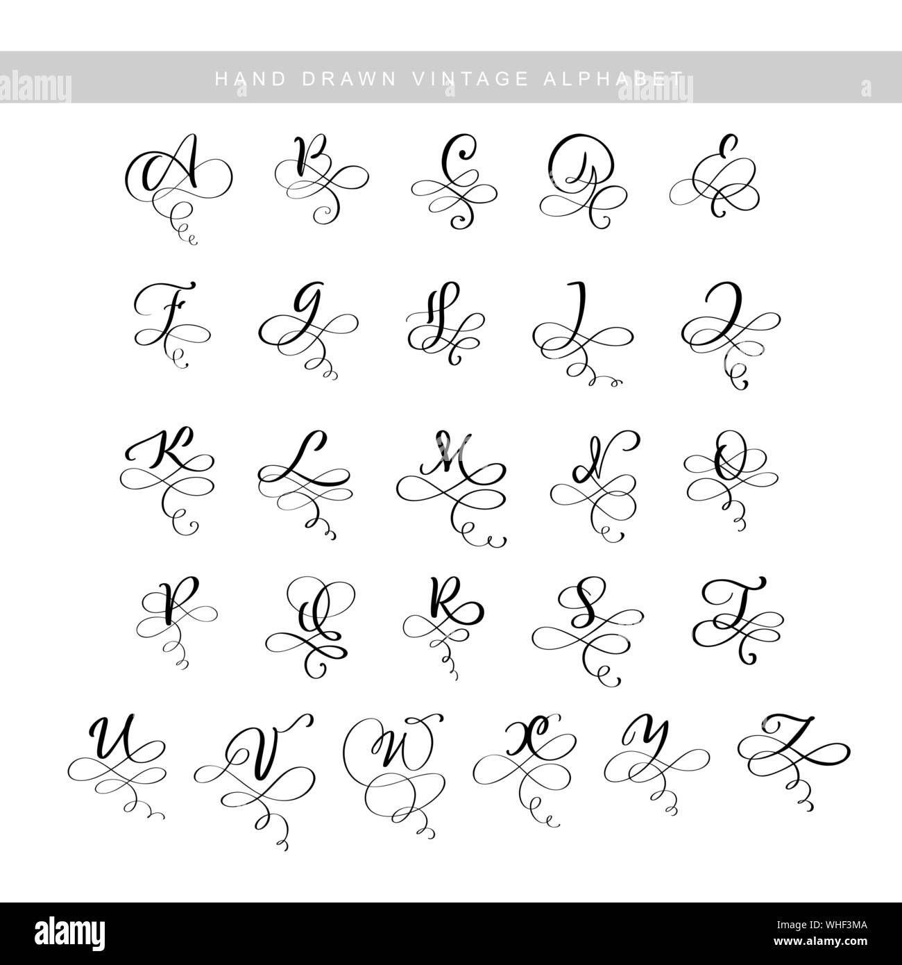 Vector Hand Drawn calligraphic flourish letters monogram or logo. Uppercase Hand Lettering alphabet with swirls and curls. Wedding Floral Design Stock Vector