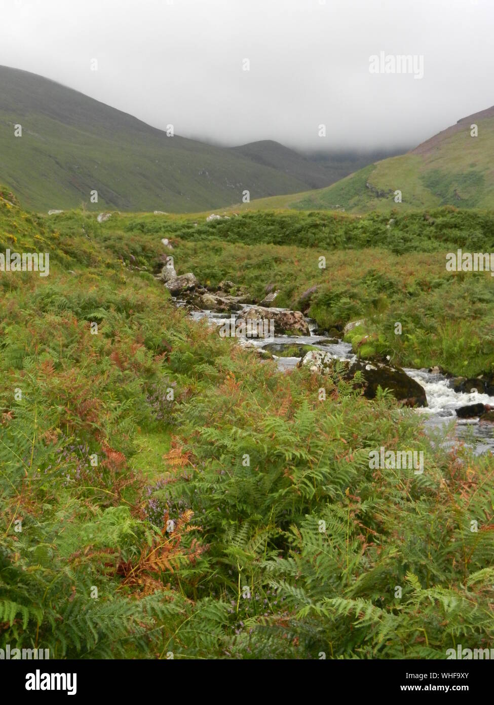 Water running down mountain hi-res stock photography and images - Alamy