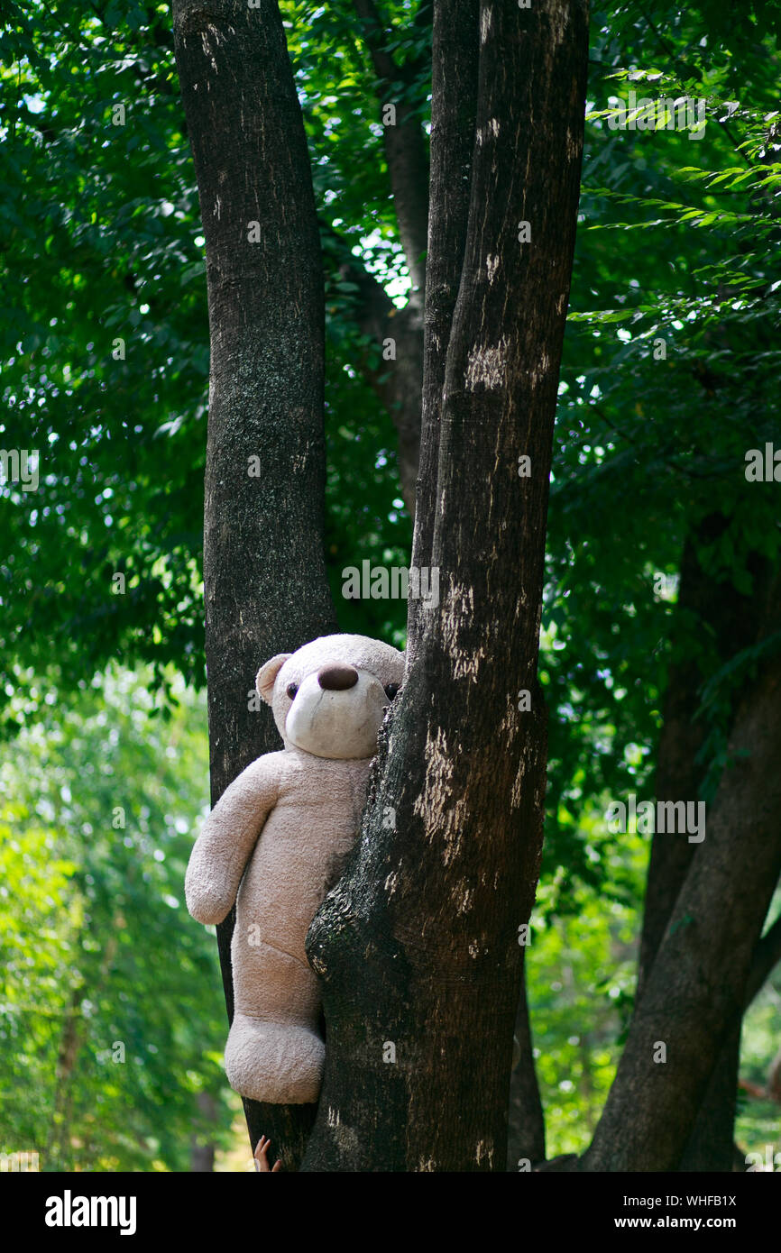 tree trunks plush