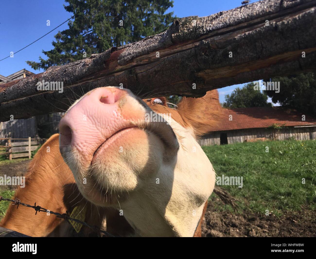 Railing hi-res stock photography and images - Alamy