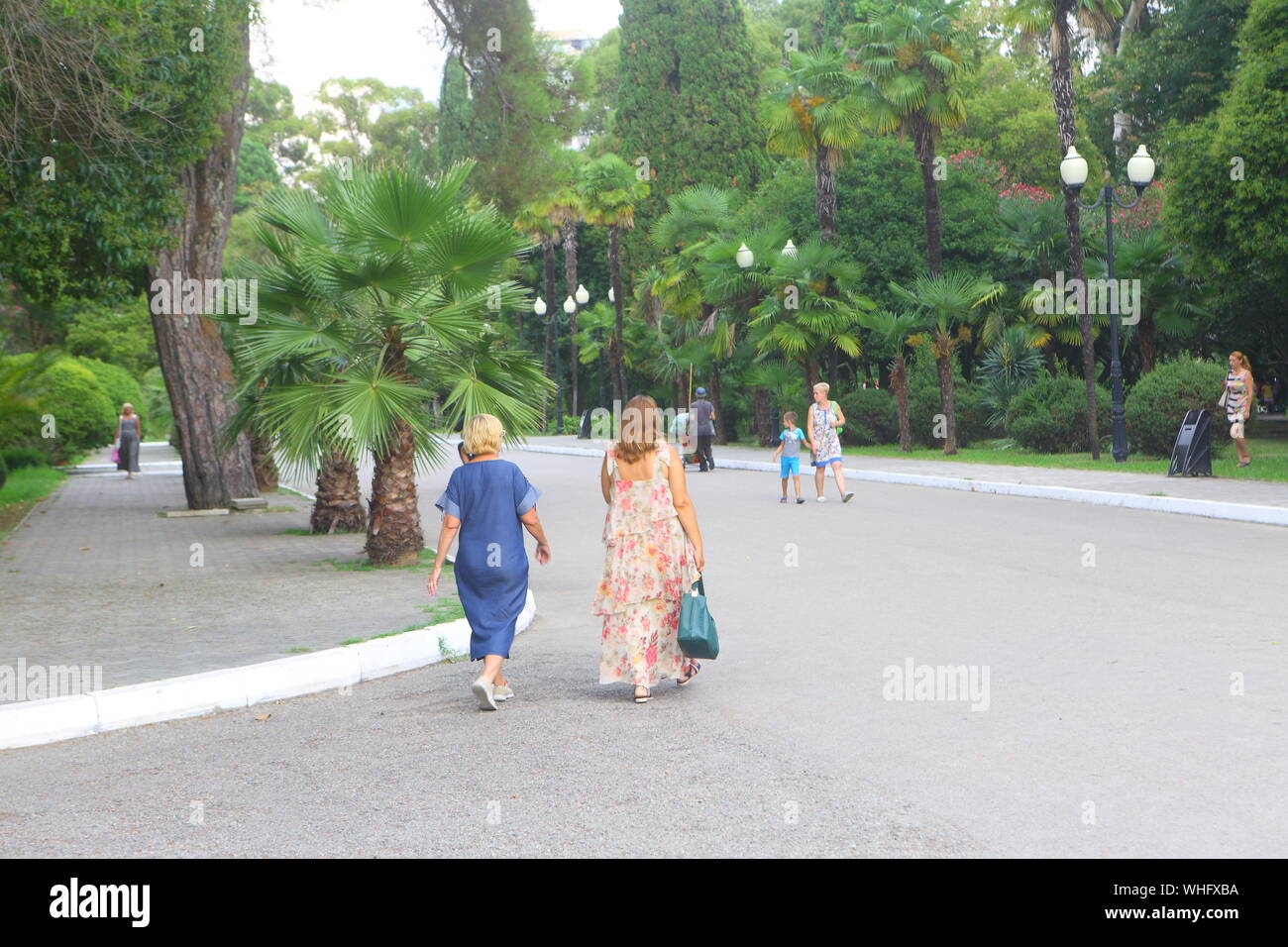 Summer landscape with palm trees Stock Photo - Alamy