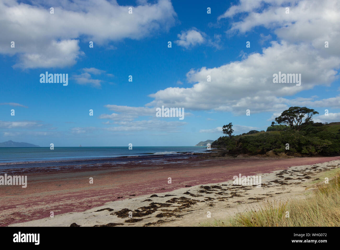 Waipu beach hi-res stock photography and images - Alamy