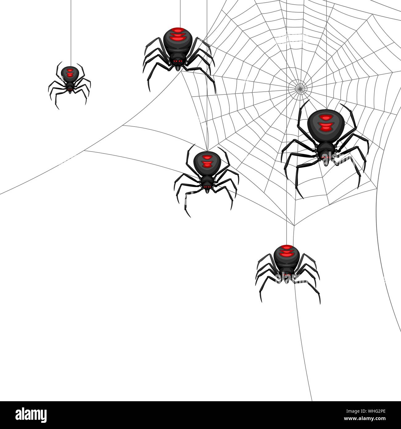 Background with black widow spiders. Stock Vector