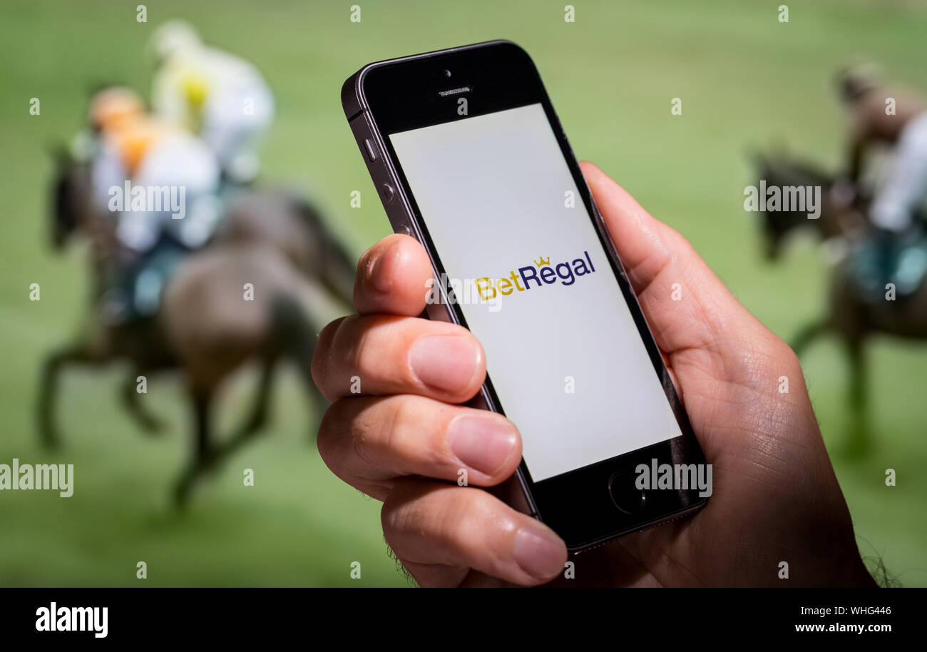 A man looking at the Bet Regal app website whilst watching the horse racing Stock Photo