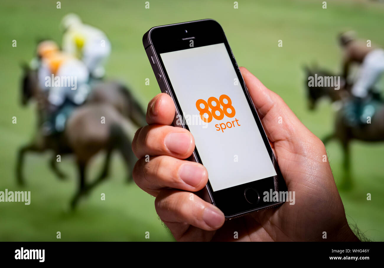 A man looking at the 888 Sport app website whilst watching the horse racing Stock Photo