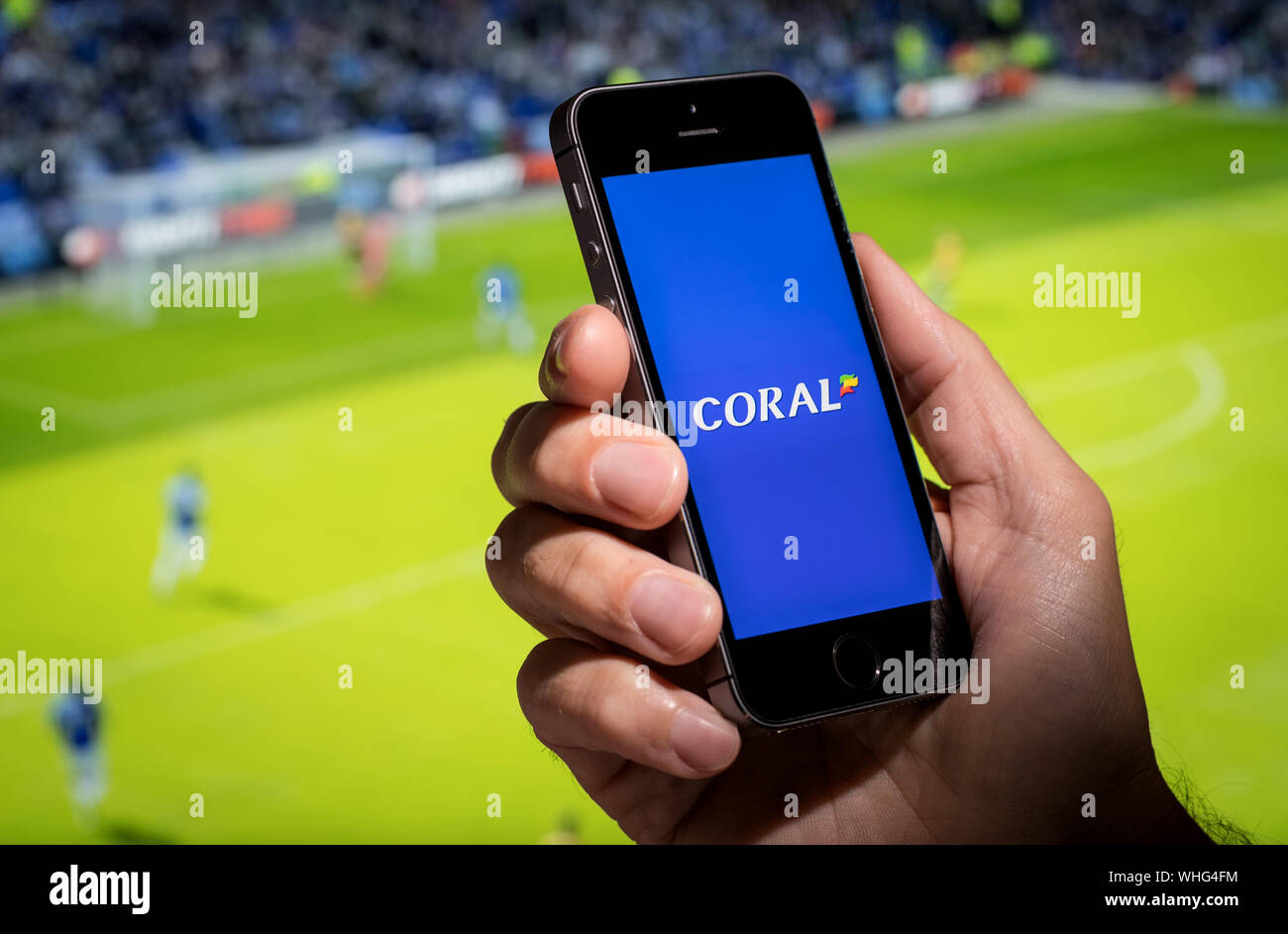 A man looking at the Coral betting app website whilst watching the football Stock Photo