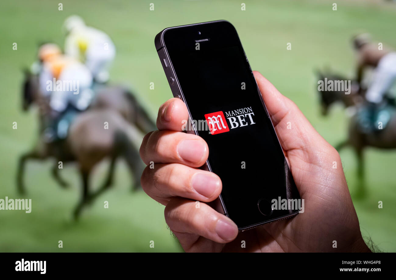 A man looking at the Mansion Bet app website whilst watching the horse racing Stock Photo