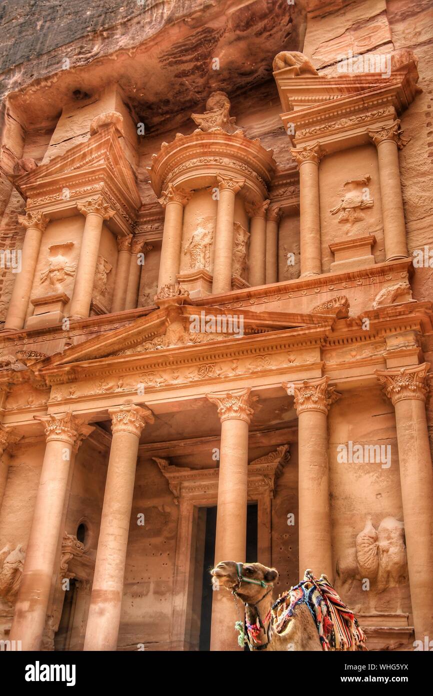 Camel Standing Outside Historic Building Stock Photo