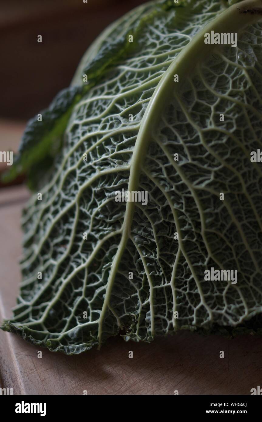 Close-up Of Green Cabbage On Table Stock Photo