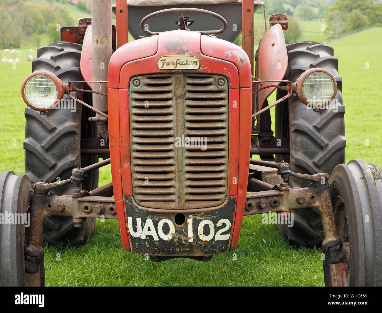 old red Massey Ferguson tractor at vintage vehicle show in Cumbria,England,UK Stock Photo