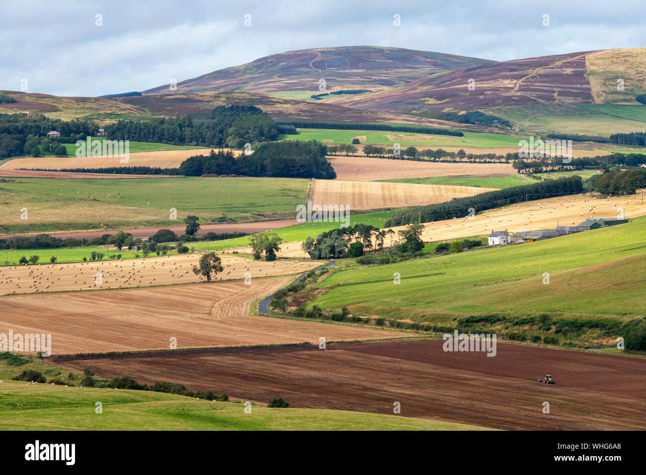 View of farmland near Longformacus, Berwickshire, Scottish Borders. Stock Photo